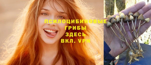 ALPHA PVP Алзамай