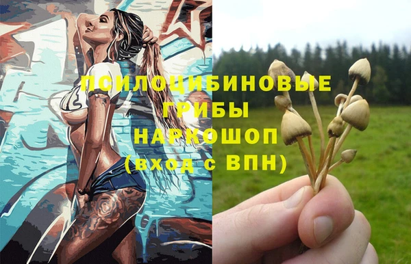 ALPHA PVP Алзамай