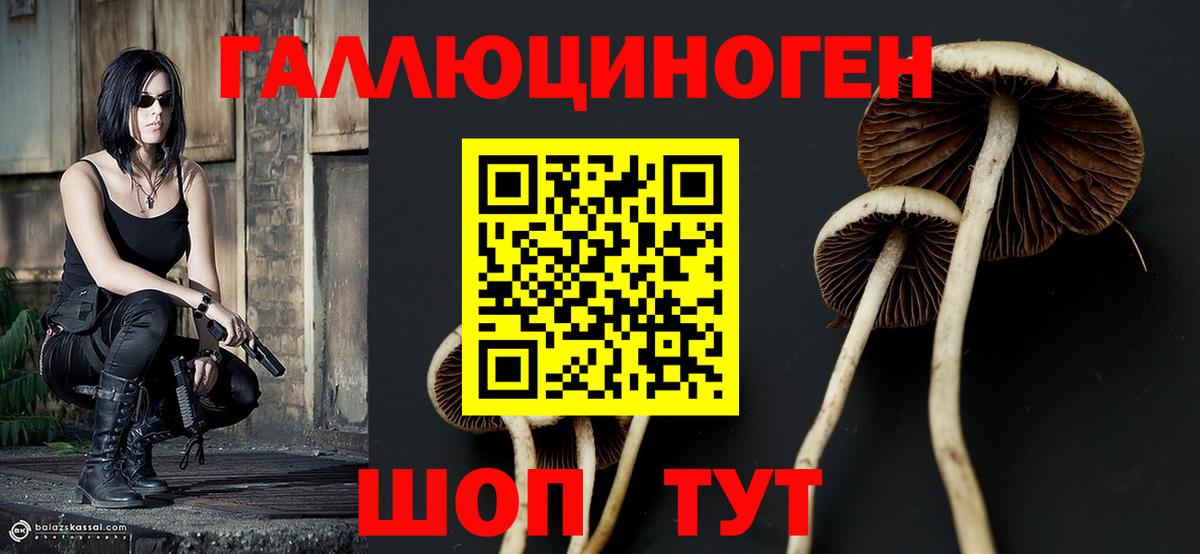 Петрозаводск  Галлюциногенные грибы Psilocybine cubensis  закладки  Псилоцибиновые грибы Cubensis  Вход с VPN 